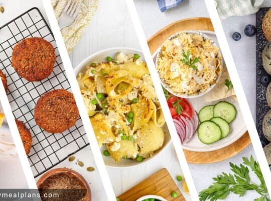 Savvy Meal Plan 17